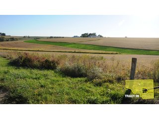 Property photo 17 - 1,153 +/- Acres offered in 15 TractsLAND AUCTION